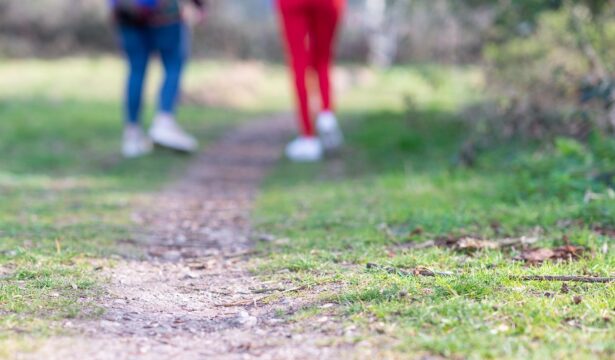 Een samengesteld gezin vormen. in gesprek met Een samengesteld gezin vormen. in gesprek met