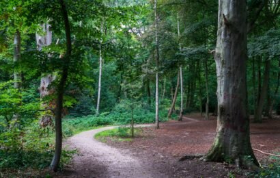 E-learning stressreductie in het samengestelde gezin